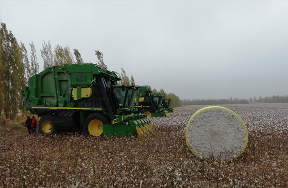 emc易倍·(中国)体育官方网站-EMC SPORTS