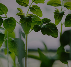 emc易倍·(中国)体育官方网站-EMC SPORTS