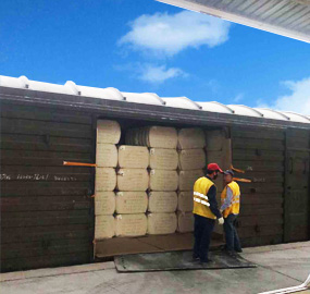 emc易倍·(中国)体育官方网站-EMC SPORTS