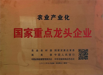 emc易倍·(中国)体育官方网站-EMC SPORTS