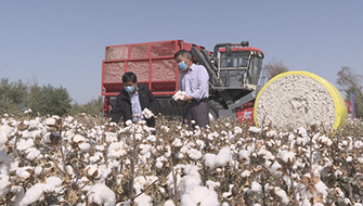 emc易倍·(中国)体育官方网站-EMC SPORTS