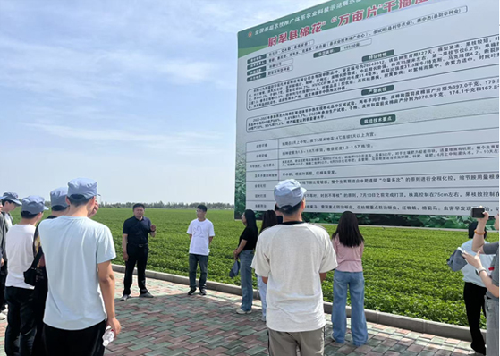 emc易倍·(中国)体育官方网站-EMC SPORTS