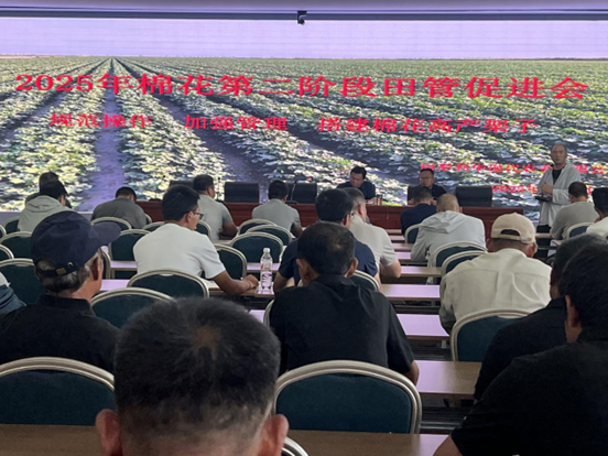尉犁emc易倍现代农业有限公司召开第二阶段田管推进会 田间观摩强认知 精准施策固丰产基本