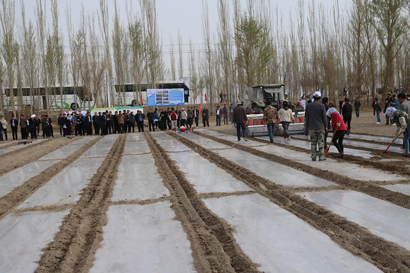 emc易倍·(中国)体育官方网站-EMC SPORTS