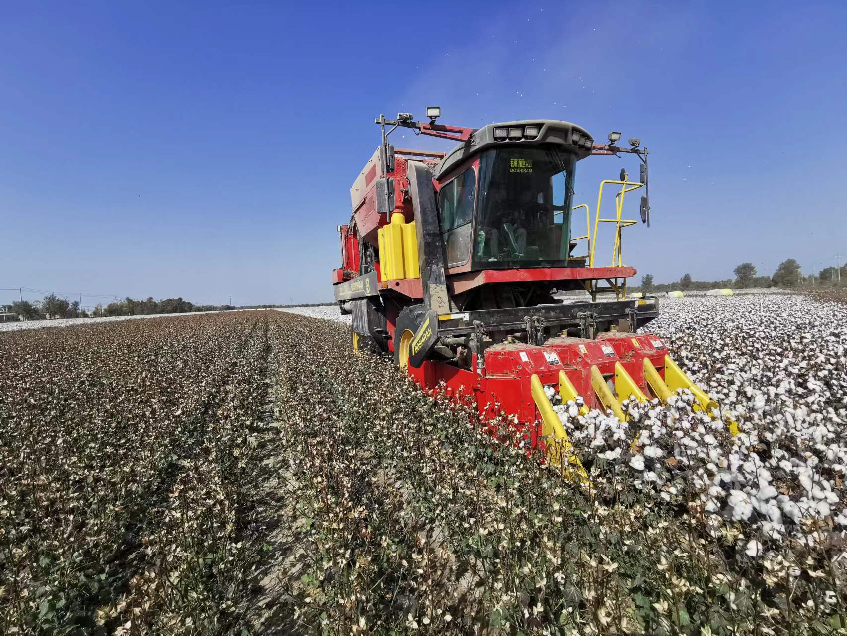 emc易倍·(中国)体育官方网站-EMC SPORTS